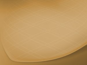 对比评测：前端优化前后的网站速度差异
